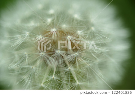 一大早看到的那頂棉帽 122401826