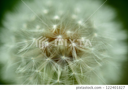 一大早看到的那頂棉帽 122401827