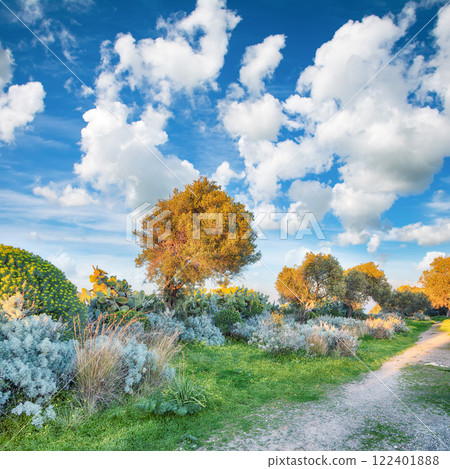 Breathtaking spring view on the the cape Milazzo panorama of nature reserve. Breathtaking spring view on the the cape Milazzo panorama of nature reserve. 122401888