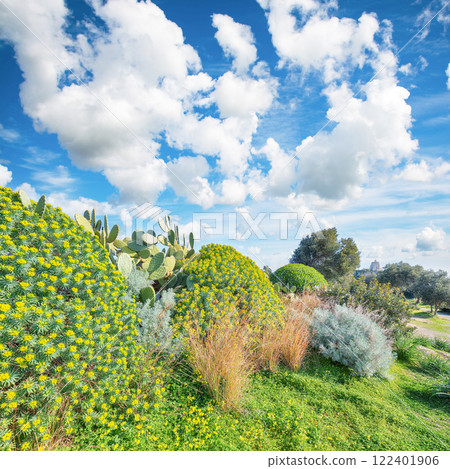 Stunning spring view on the the cape Milazzo panorama of nature reserve Piscina di Venere. Stunning spring view on the the cape Milazzo panorama of nature reserve Piscina di Venere. 122401906