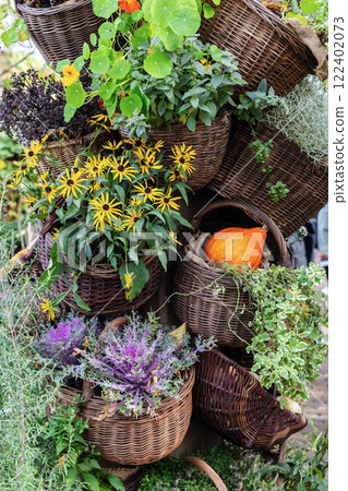 Baskets with flowers, cabbage and pumpkin in the autumn garden 122402073