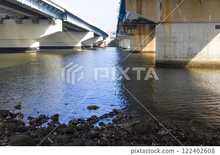 Edogawa clam digging spot, Ichikawa City, Chiba Prefecture January 2025 Edogawa clam digging spot, Ichikawa City, Chiba Prefecture January 2025 122402608