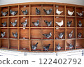 racing pigeon standing in wooden box inside of homing pigeon loft 122402792