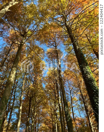 Autumn leaves Castle construction Autumn leaves Castle construction 122404417
