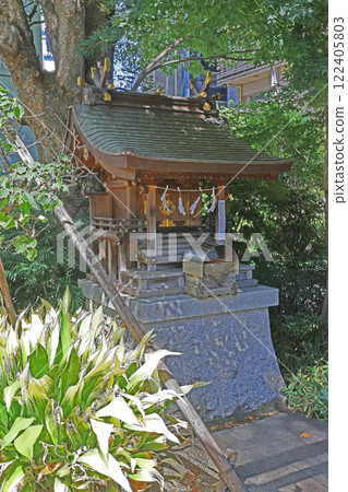 Narikoten Shrine (Shinjuku) 122405803