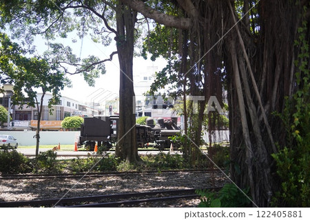 阿里山森林鐵路車輛段公園綠樹成蔭 阿里山森林鐵路車輛段公園綠樹成蔭 122405881