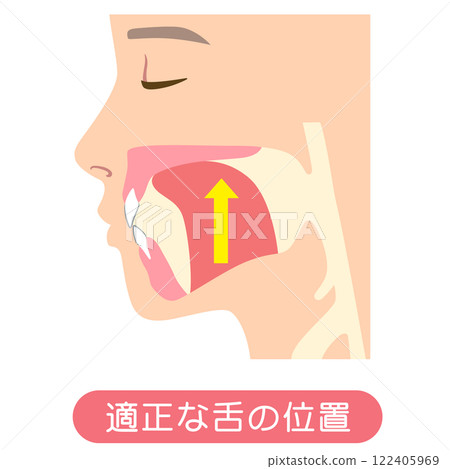 Proper Tongue Position: Mewing 122405969