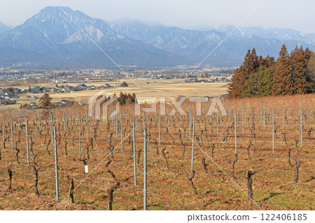 Winter wine vineyards: Japan Alps Wine Valley Winter wine vineyards: Japan Alps Wine Valley 122406185