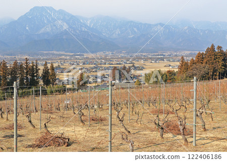 Winter wine vineyards: Japan Alps Wine Valley 122406186