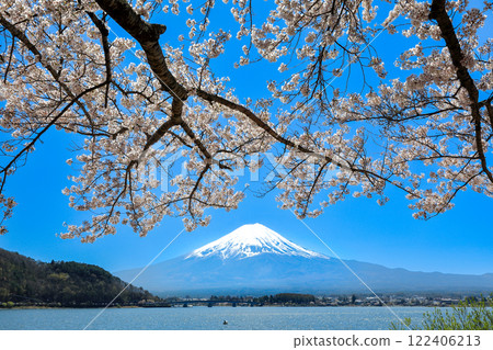 Mount Fuji as seen from the shores of Lake Kawaguchi with cherry blossoms in full bloom, Kawaguchiko Town, Yamanashi Prefecture 122406213