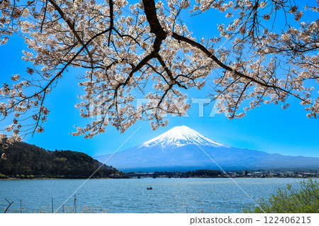 Mount Fuji as seen from the shores of Lake Kawaguchi with cherry blossoms in full bloom, Kawaguchiko Town, Yamanashi Prefecture 122406215