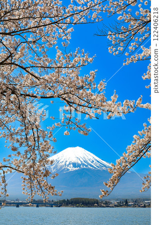 山梨縣河口湖町，從河口湖畔眺望富士山，櫻花盛開 122406218