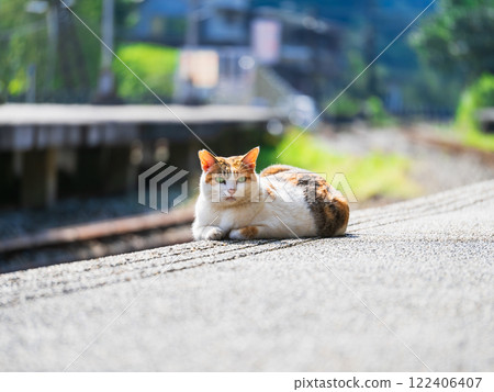 台灣十分站的人氣人物 122406407