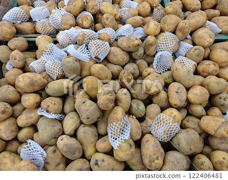 Freshly Harvested Potatoes in Protective Mesh Packaging Displayed Freshly Harvested Potatoes in Protective Mesh Packaging Displayed 122406481