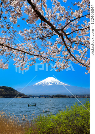 Mount Fuji as seen from the shores of Lake Kawaguchi with cherry blossoms in full bloom, Kawaguchiko Town, Yamanashi Prefecture 122406844