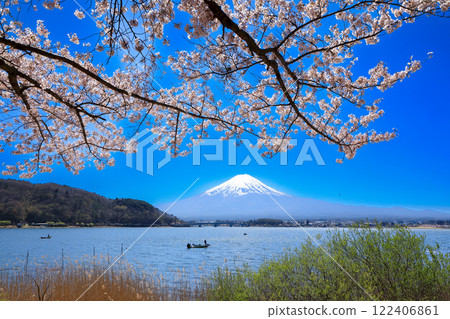 山梨縣河口湖町，從河口湖畔眺望富士山，櫻花盛開 122406861