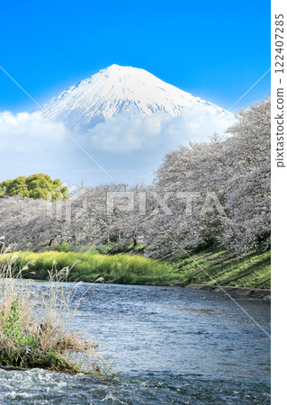 Cherry blossoms in full bloom at Ryuganbuchi River in the Fuji district of Shizuoka Prefecture Cherry blossoms in full bloom at Ryuganbuchi River in the Fuji district of Shizuoka Prefecture 122407285