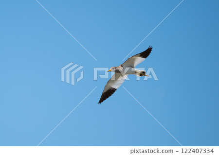 科日02飛越秋天的荷田 122407334