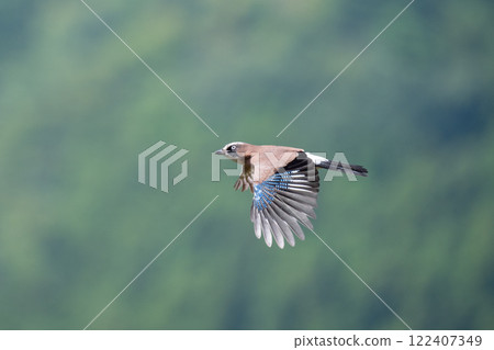 夏末的山間飛行 周杰倫 01 122407349