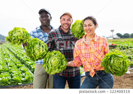 Cheerful farmers with lettuce in hands having fun in vegetable field 122408319