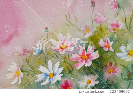 Cosmos water color 122409602