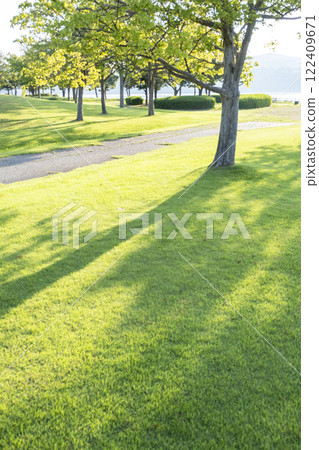 On the mall in the shade of the grass in the park 122409671