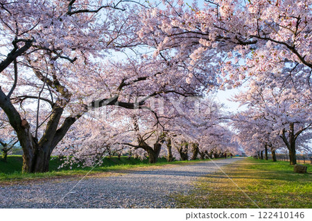 旭船川河 旭船川河 122410146