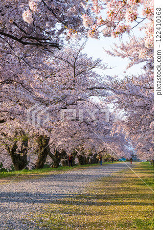 旭船川河 122410168