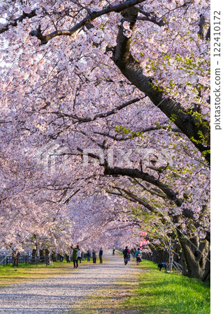 旭船川河 122410172