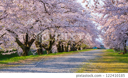 旭船川河 122410185