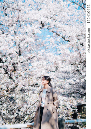 Cherry blossoms and a young woman 122410461