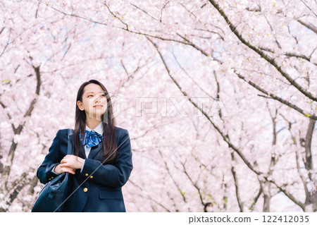 High school students walking under the rows of cherry blossom trees 122412035