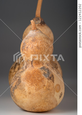 Gourd, gourd, gourd Gourd, gourd, gourd 122412202
