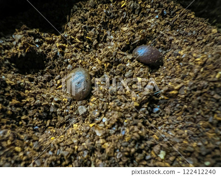 Coffee beans and ground coffee on a brown background. Coffee background. 122412240