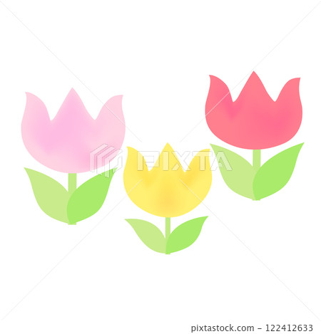 Tulip illustration 122412633