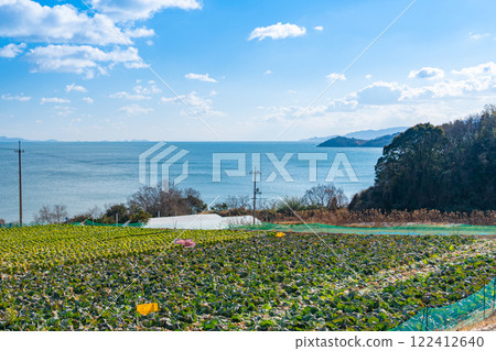 俯瞰瀨戶內海的捲心菜田【岡山縣瀨戶內市】 122412640