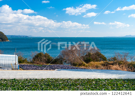 俯瞰瀨戶內海的捲心菜田【岡山縣瀨戶內市】 俯瞰瀨戶內海的捲心菜田【岡山縣瀨戶內市】 122412641