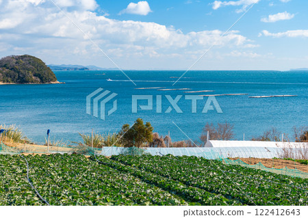 Cabbage fields overlooking the Seto Inland Sea [Setouchi City, Okayama Prefecture] 122412643
