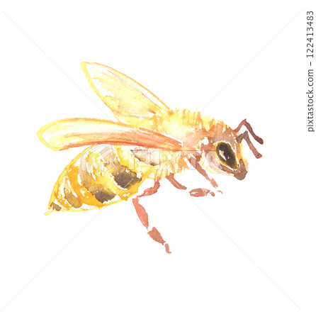 Bee watercolor illustration Bee watercolor illustration 122413483