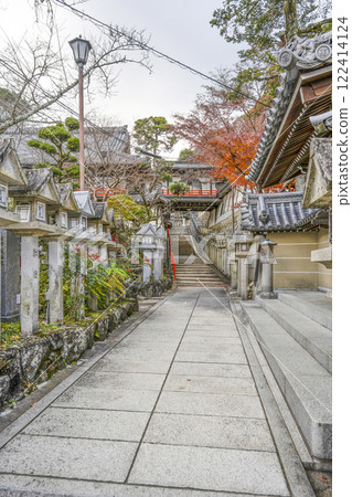 The approach to Gyokuzo-in Temple at Chogosonshiji Temple on Mount Shigi 122414124