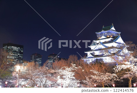 【大阪府】夜晚櫻花盛開的大阪城和大阪商業園 122414576