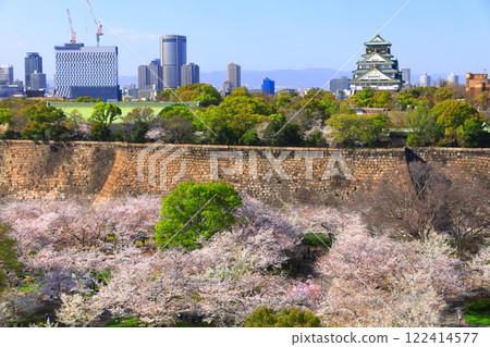 【大阪府】櫻花盛開的大阪城和大阪商業園 【大阪府】櫻花盛開的大阪城和大阪商業園 122414577