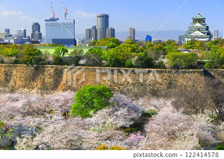【大阪府】櫻花盛開的大阪城和大阪商業園 【大阪府】櫻花盛開的大阪城和大阪商業園 122414578