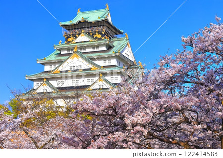 [Osaka Prefecture] Cherry Blossoms in Full Bloom and Osaka Castle 122414583