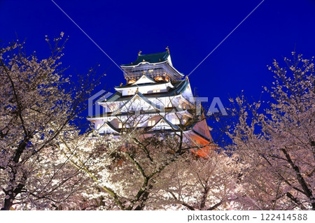 [Osaka Prefecture] Osaka Castle with cherry blossoms in full bloom at night 122414588