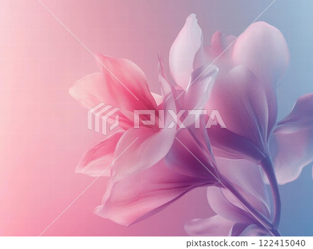 Delicate Bloom: A Symphony of Pastel Hues and Soft Petals 122415040