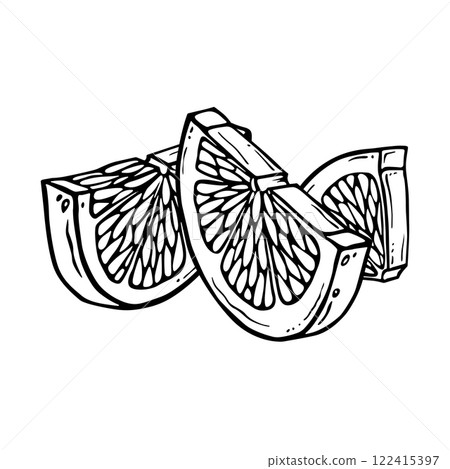 Citrus fruit pieces. Lemon or lime hand drawn ink graphic. Linear drawing. Outline sketch of citron. Black line art of chopped grapefruit for kitchen textiles, packaging, label, menu or other printing 122415397