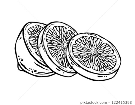 Lemon half sliced on pieces. Free hand ink drawing of citrus round slices. Black lines fruit sketch. Outline illustration in engraving style for menu, logo, printing, textile or utensil design 122415398