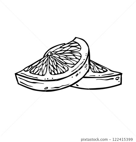 Lemon pieces illustration. Hand drawn ink graphic of citrus fruit. Linear drawing of lime. Outline sketch of citron. Black line art of chopped grapefruit for kitchen textiles, packaging or label 122415399