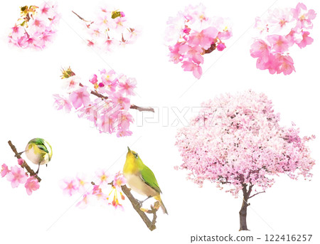 Spring flower illustration material set (cherry blossom 2) 122416257